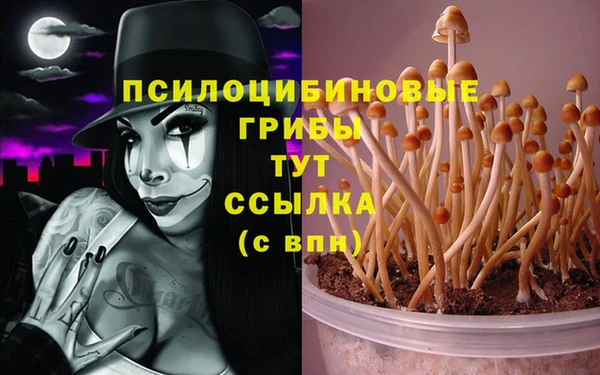соль ск Алзамай