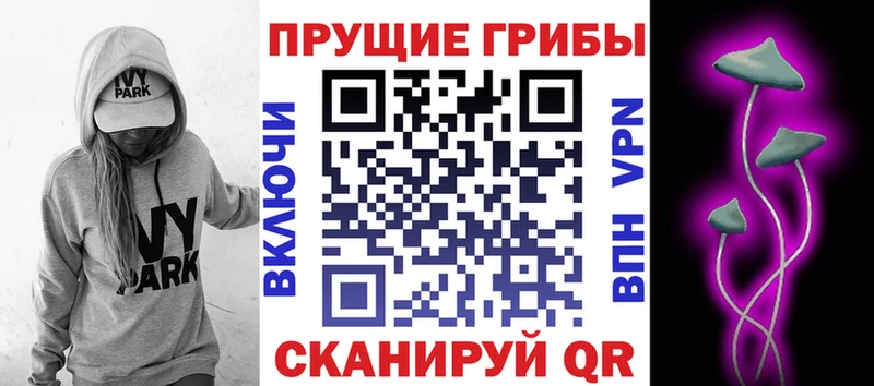 наркошоп  Бокситогорск  Псилоцибиновые грибы GOLDEN TEACHER 